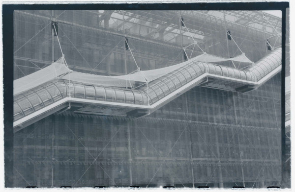DSC_2205-inverted.jpg