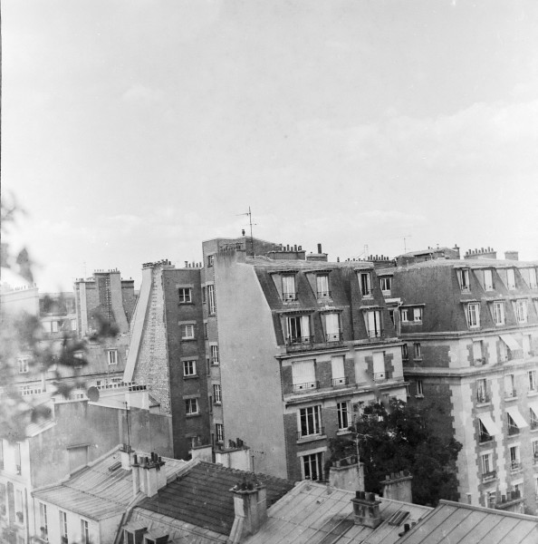 L4.jpg