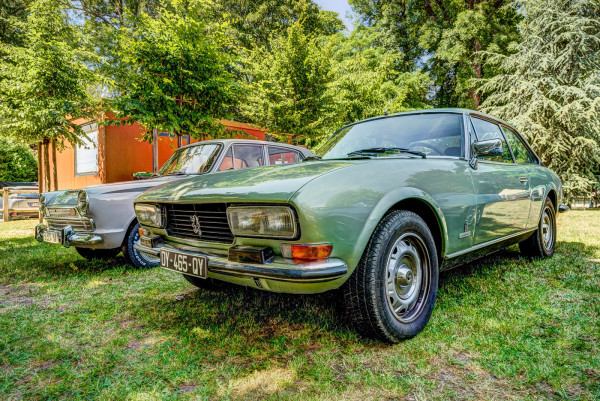 06.thumb.jpg.503ff23aca61f6703a2d8d6449072e0a.jpg