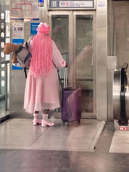 La voyageuse rose.jpg