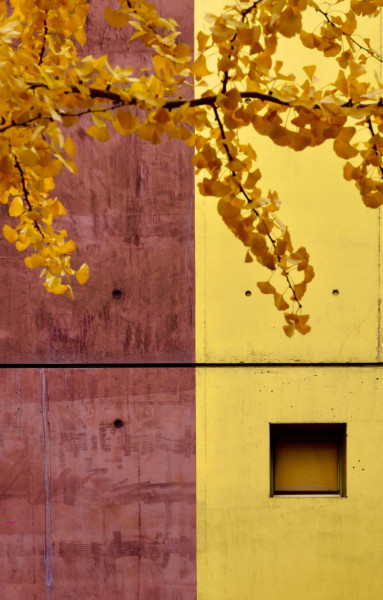 D55FED25-6F22-451B-A432-BB3E6F1728CE_1_201_a.jpeg