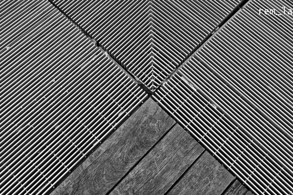 DSC_7078elesylver_1600.thumb.jpg.c1e85b5d2520c46f2b9a26c43eb0f1b9.jpg