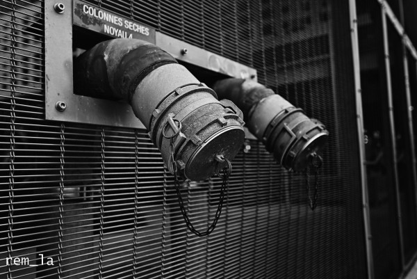 DSC_7121silver_1600.thumb.jpg.4b712e1e32f0b373896e5e29115b3c2c.jpg