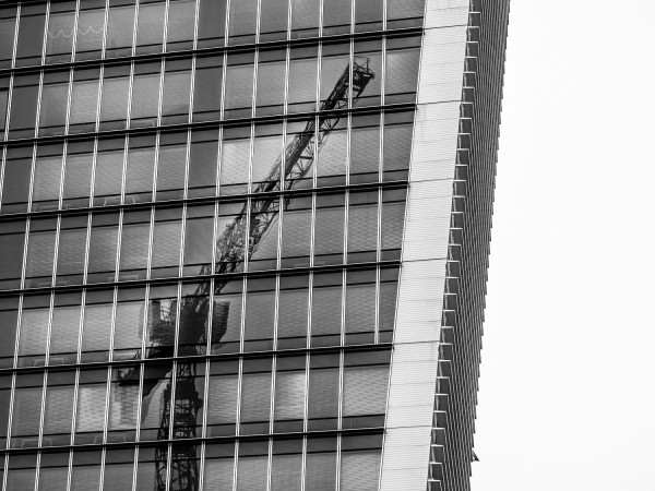P1010036-1500px-2.thumb.jpg.5ddf96cfef249ce09a6c52fd529d8a92.jpg