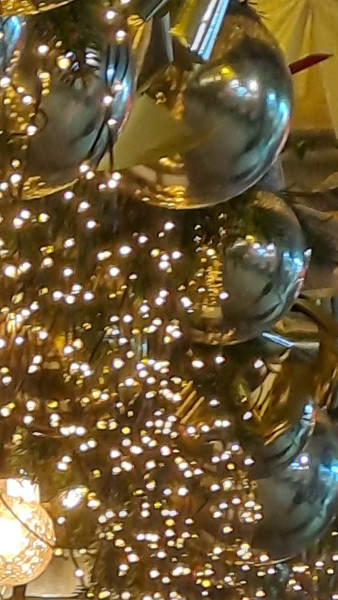 20241220_180315.thumb.jpg.f110506543b5fbd4e585a3a9cf0f1b1e.jpg
