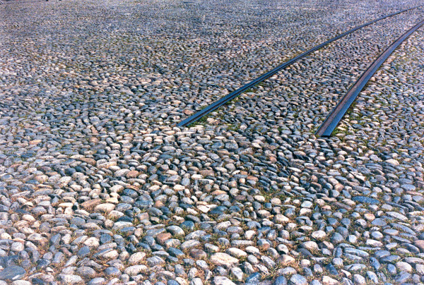 DSC_2345v1_v1.JPG