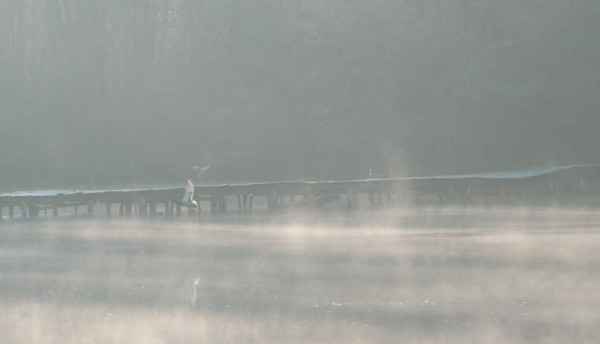 DSCF6240 - R.JPG
