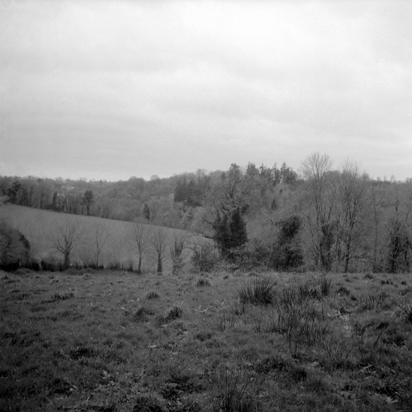 Roll39_0009.jpg