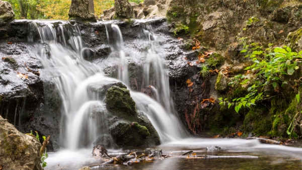 Cascade_Vincennes.thumb.jpg.d510f34382c2