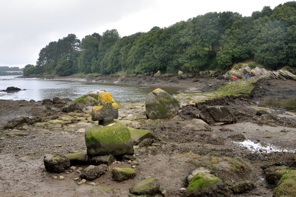 DSC_0208_1200.jpg