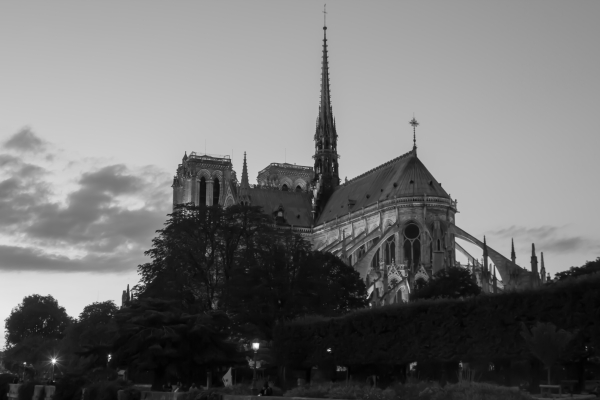 IMG_9791_dev.jpg
