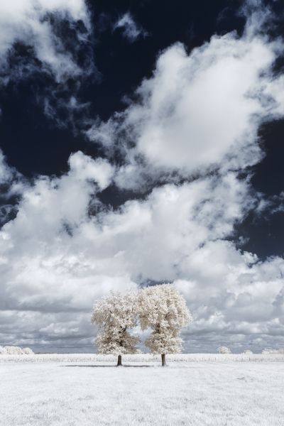 IR_5.thumb.jpg.87983fe223cf617f8b9e8f722