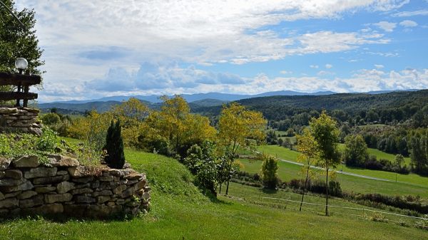DSC_0470_1200.jpg