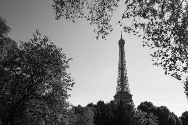 IMG_9961 Lightroom-2.jpg