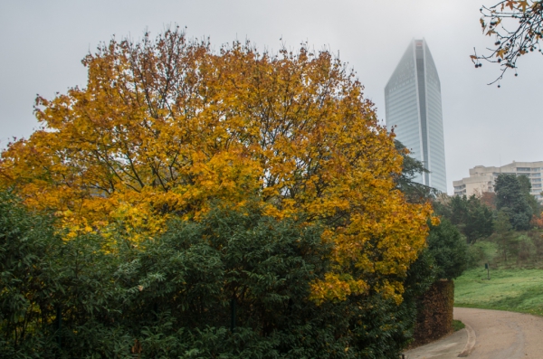 La Défense n'est pas loin.jpg