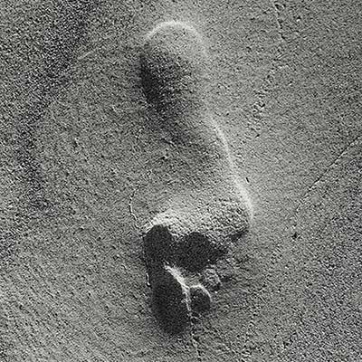 footstep.thumb.jpg.08c14e5eaf9bf7241e3a6