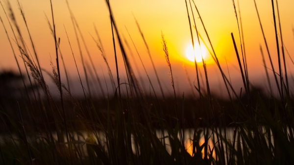 sunset-1.thumb.jpg.a30d993597431b9beb445