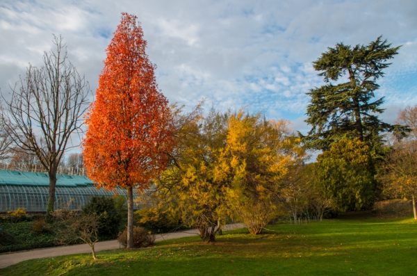 Couleurs d'automne.jpg