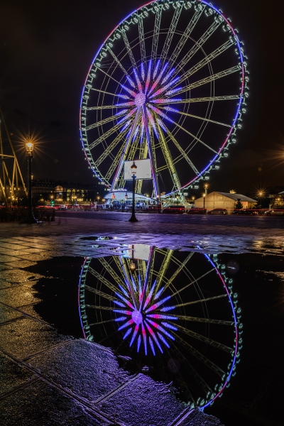 DSC_6324-1.jpg