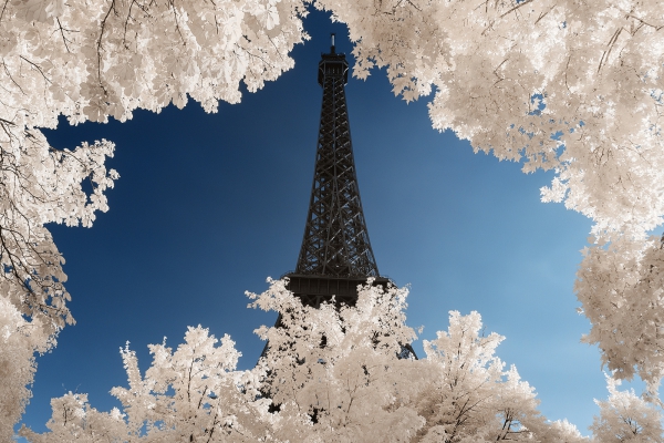 Paris_1.jpg