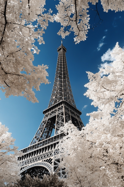 Paris_2.jpg