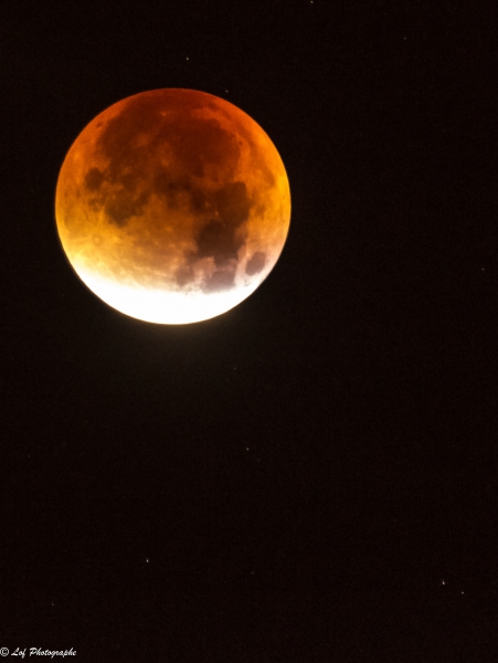 2015-eclipse-1.thumb.jpg.98e654fd3cfb104
