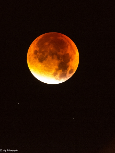 2015-eclipse-2.thumb.jpg.a7ffae4e6fd05f8