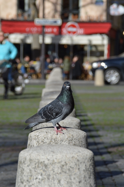 DSC_0022.JPG