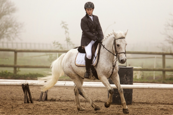 20141116_dressage-120.thumb.jpg.343418b6