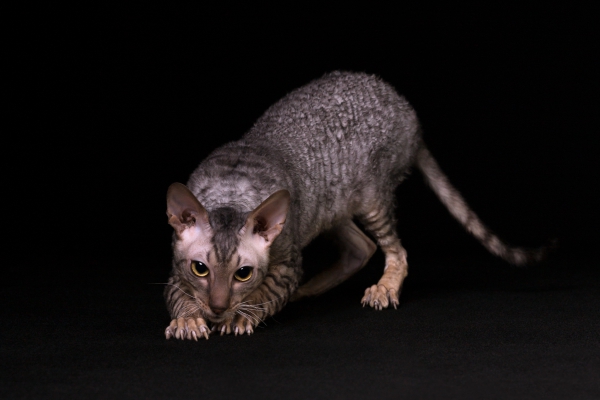5D3_0072-Modifier.jpg