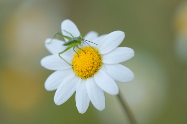ML_8659.jpg