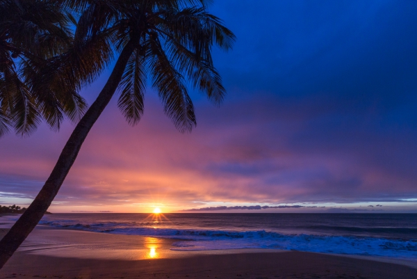 plage-guadeloupe.jpg