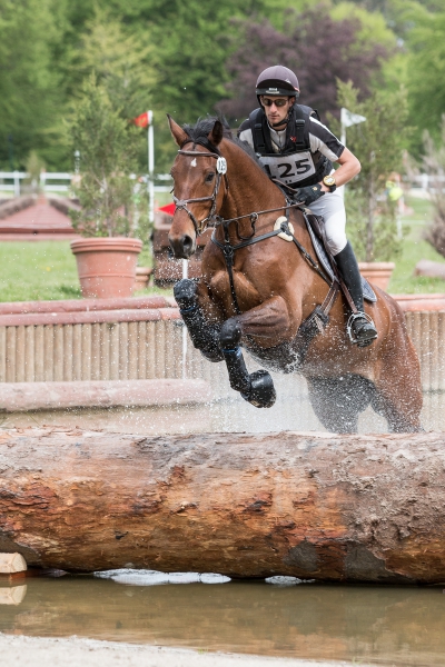 festival de concour complet - haras de jardy - 2016-54.jpg