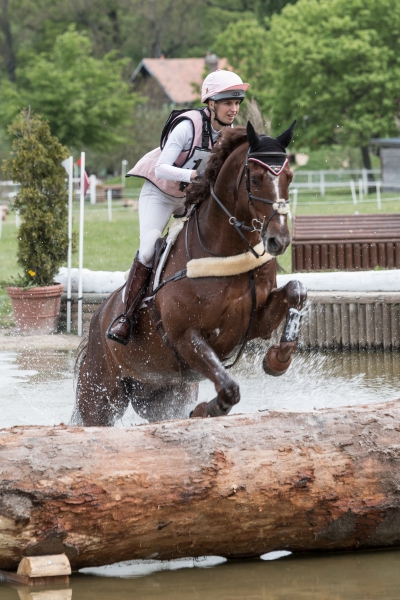 festival de concour complet - haras de jardy - 2016-47.jpg