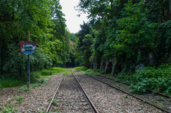 Petite ceinture 1.jpg