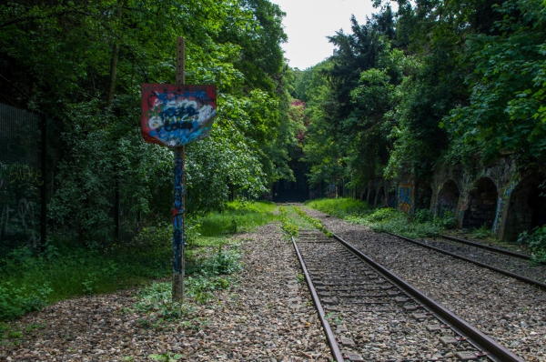 Petite ceinture 2.jpg