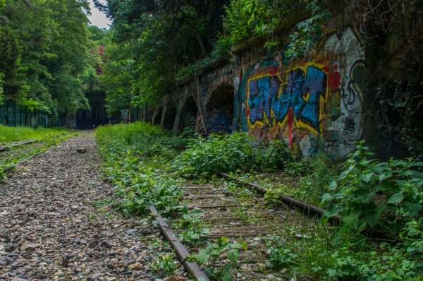 Petite ceinture 3.jpg
