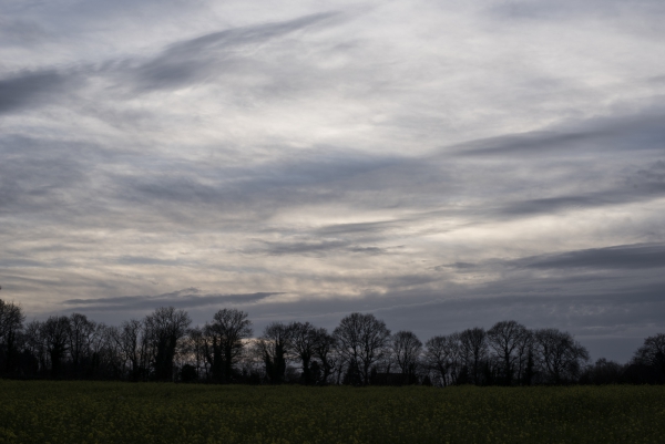 _DSC0368.jpg