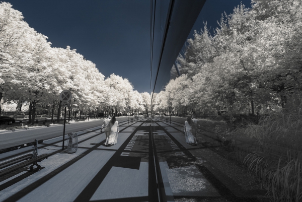 BD_Paris_invisible (10).jpg