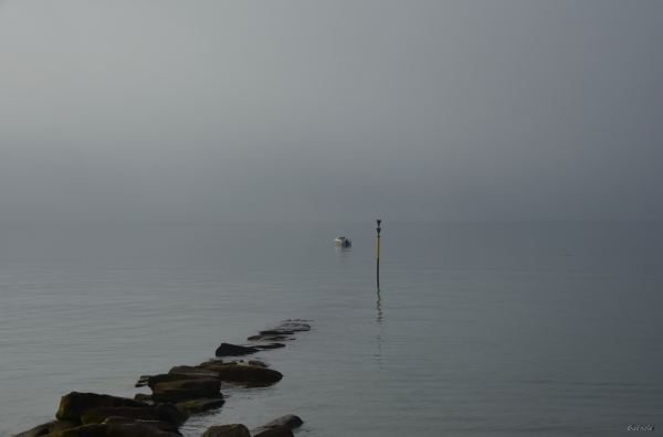 DSC_7465.JPG