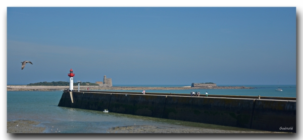 DSC_7911.JPG