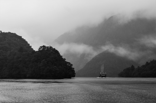 Cruise_(2).jpg