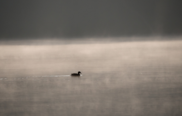 P1210169-1500px.jpg