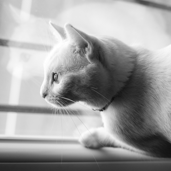 chats-2.thumb.jpg.654b4f2eb911296df3038f6beaea5fc6.jpg