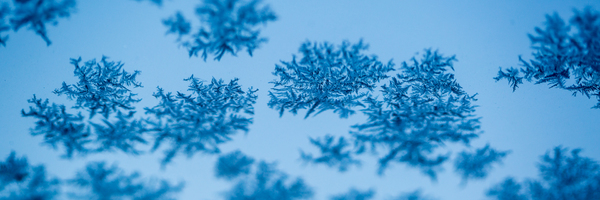 froid-4.jpg
