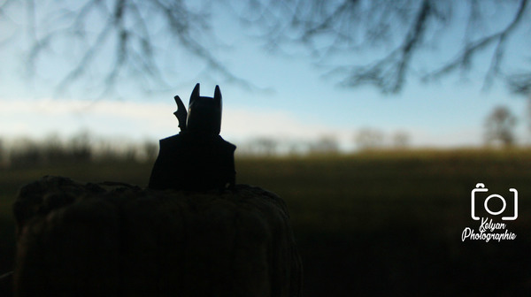 BATMAN PREND UNE PAUSE.jpg