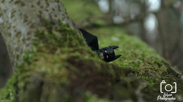 BATMAN JOUE A CACHE CACHE.jpg