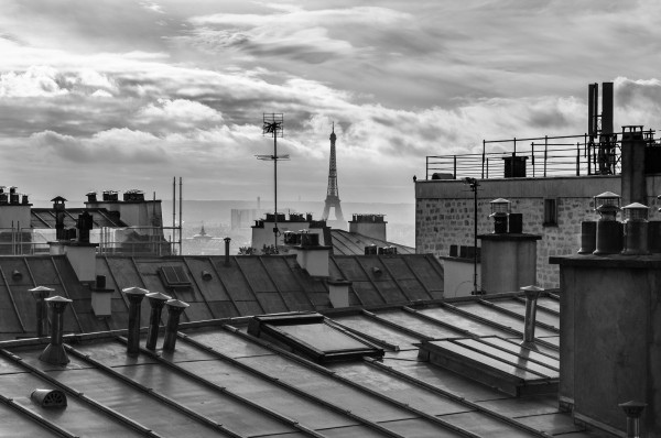 DSC_1039.thumb.jpg.2e697ff7594c9045f3a41b1b5a728419.jpg