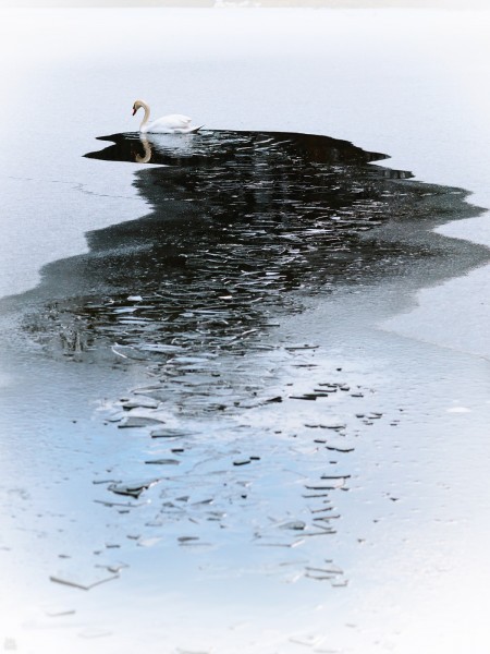 BriseGlace.thumb.jpg.a1ef8293097417704da8a5f6e7985d1e.jpg