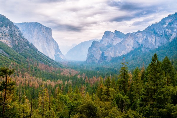 yosemite-1.thumb.jpg.f8540b181b2e36c762451f5e64f5ce20.jpg